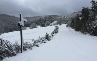 El invierno en el Camino